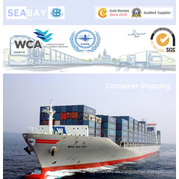 Cheap Sea Freight Ningbo a los Emiratos Árabes Unidos